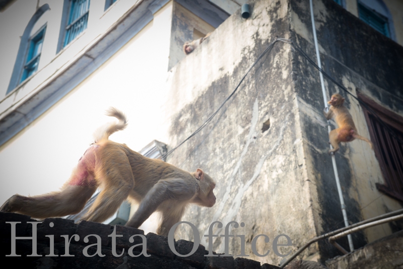 ind-120