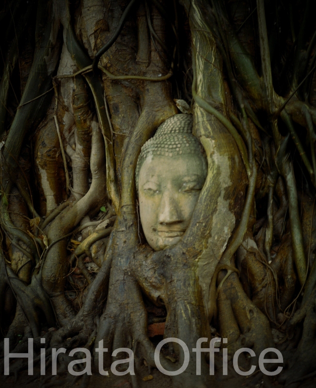 thai-152