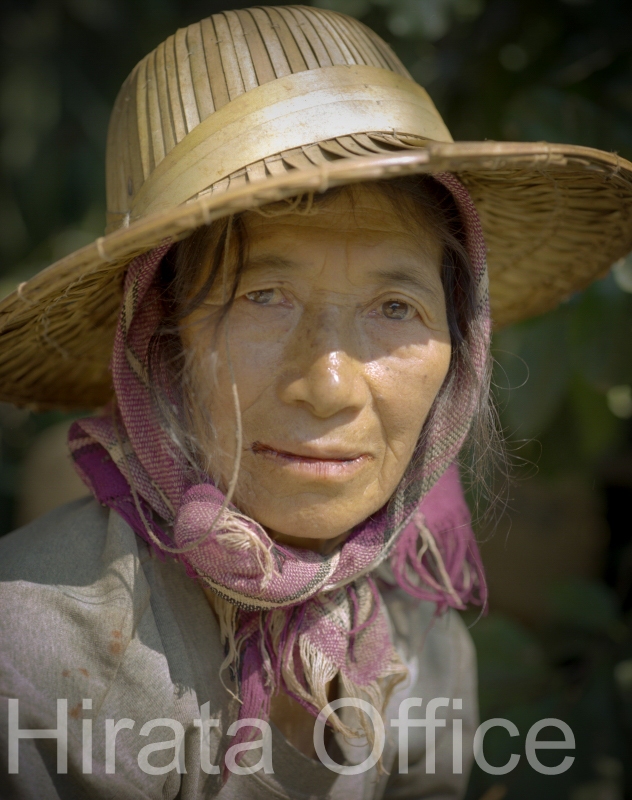 thai-43