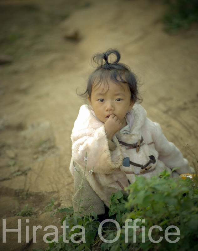 thai-68