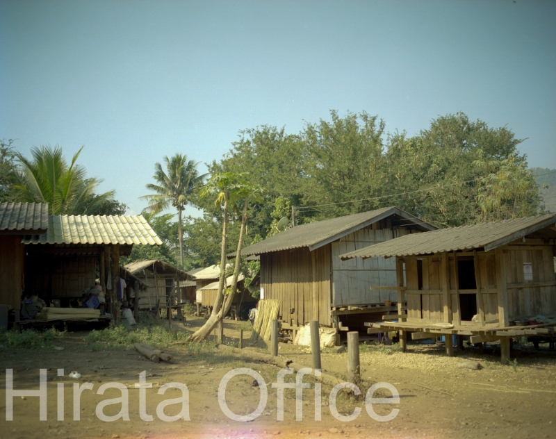 thai-8