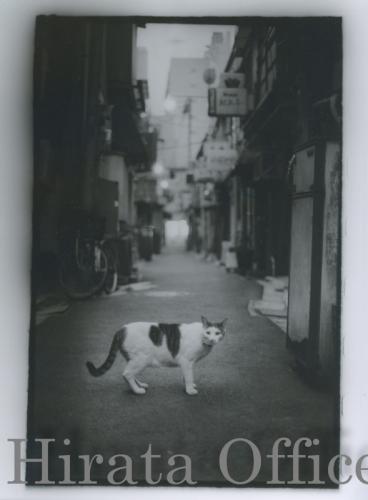 roji-23