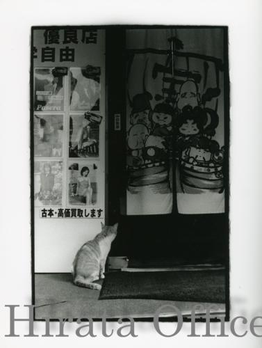 roji-25