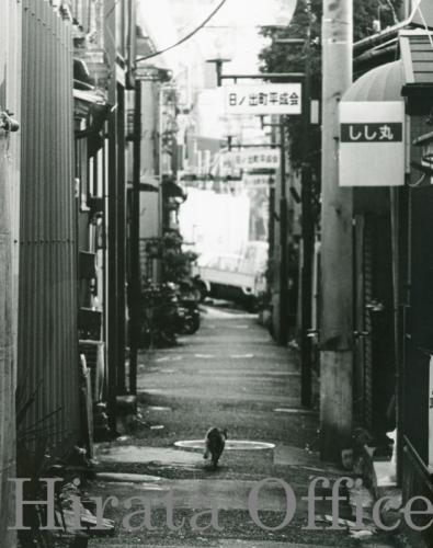 roji-34