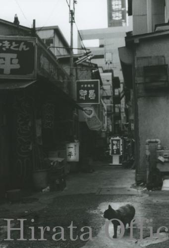 roji-9